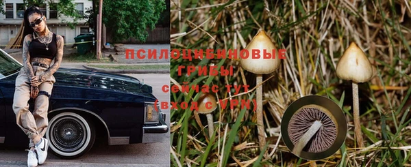 spice Иннополис