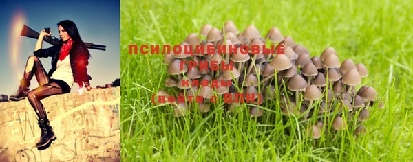 мет Инсар