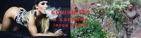 мет Инсар