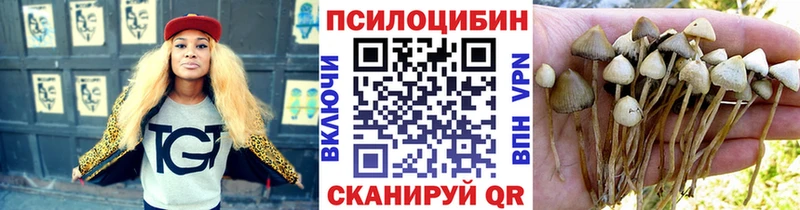 Галлюциногенные грибы мухоморы Купить Касимов